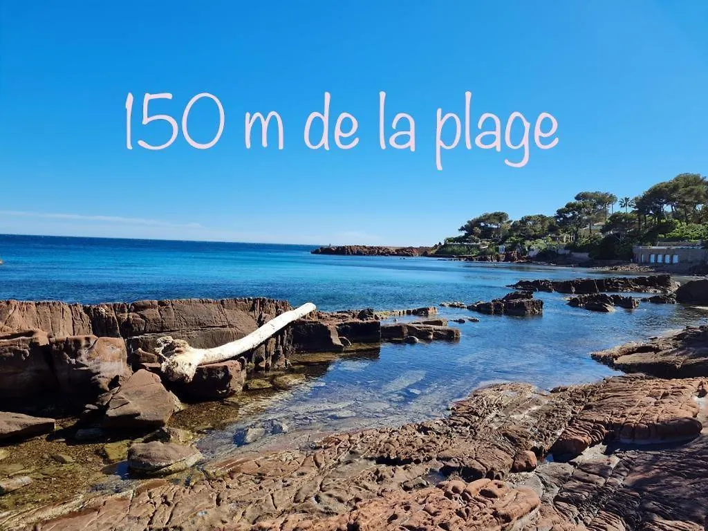 Boulouris - Grand 3 Pieces 5 Personnes Avec Terrasse A 5Min A Pied Des Plages Saint-Raphaël Διαμέρισμα